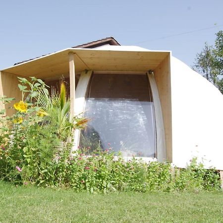 Rose-Marie'S Paradies Apartment Aesch ภายนอก รูปภาพ