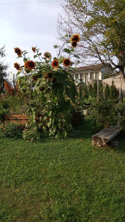 Rose-Marie'S Paradies Apartment Aesch ภายนอก รูปภาพ