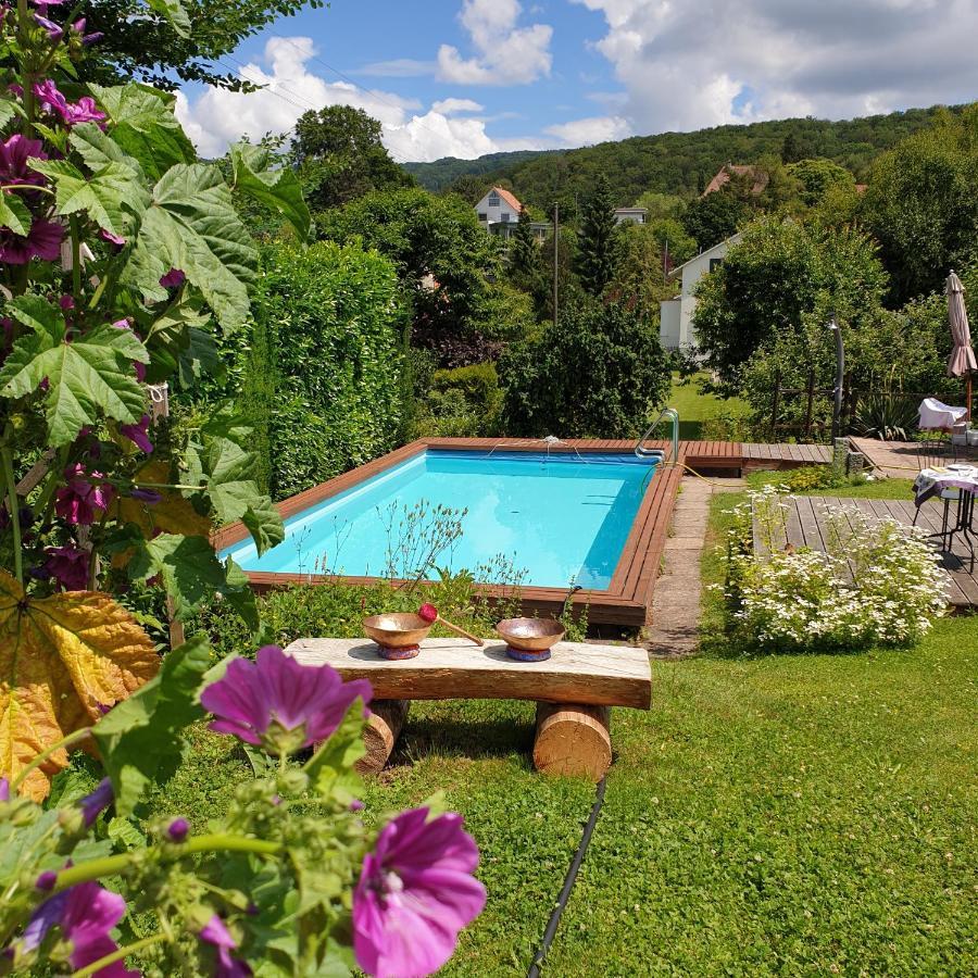 Rose-Marie'S Paradies Apartment Aesch ภายนอก รูปภาพ